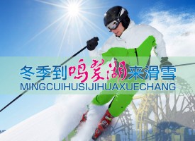 鳴翠湖滑雪場 (71)