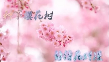 種下櫻花樹 靜待花爛漫，鳴翠湖萬人植樹節(jié)，期待您的到來！
