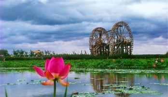 機(jī)不可失！銀川鳴翠湖國家濕地公園旺鋪火熱招商中！黃金位置，欲租從速！