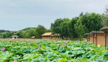 來鳴翠湖的“鳥語林”吧，與上百只孔雀零距離接觸。還有系列活動玩轉(zhuǎn)你這個周末！